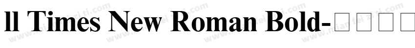 ll Times New Roman Bold字体转换